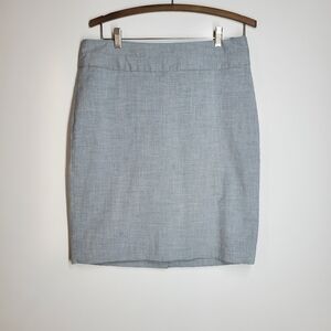 The Limited Collection Gray Skirt.  Size 10